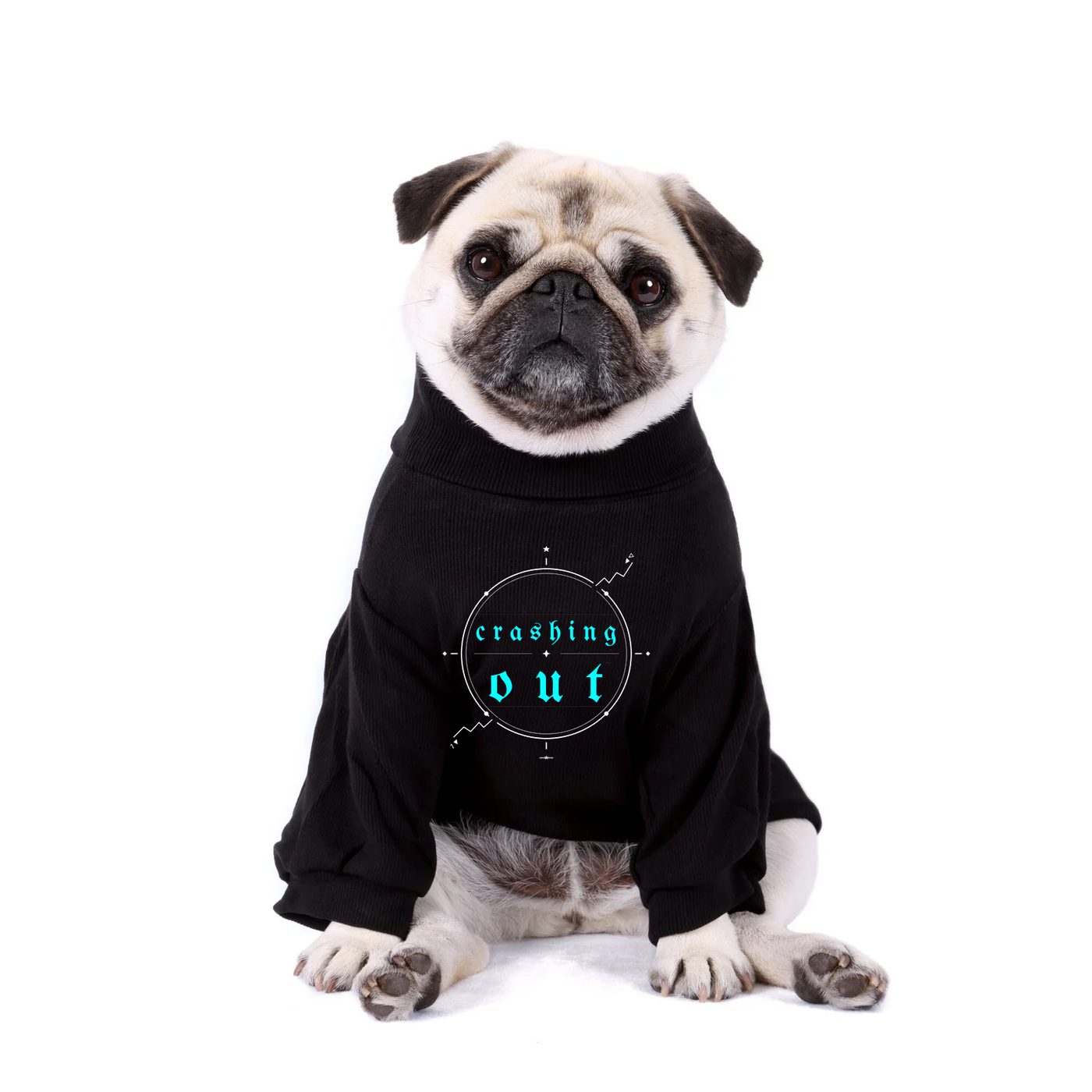 Crashing Out — Dog wearing black tee with blue crashing out compass emblem