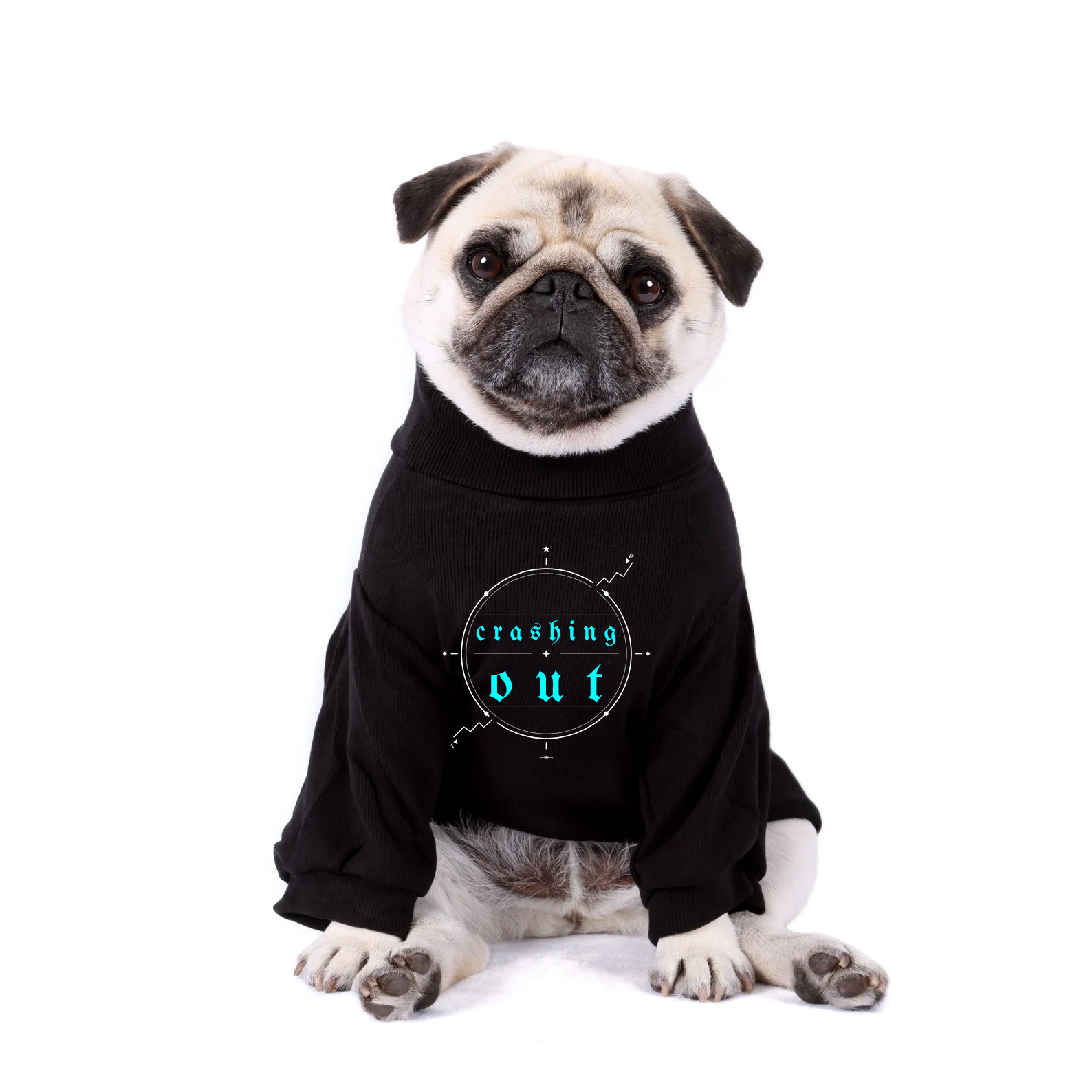 Crashing Out — Dog wearing black tee with blue crashing out compass emblem